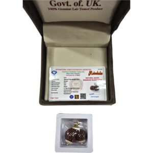 Gauri Shankar Rudraksha beads for spiritual energy and harmony, available at Dharmik Pustak Bhandar, Triveni Ghat Market, Rishikesh.